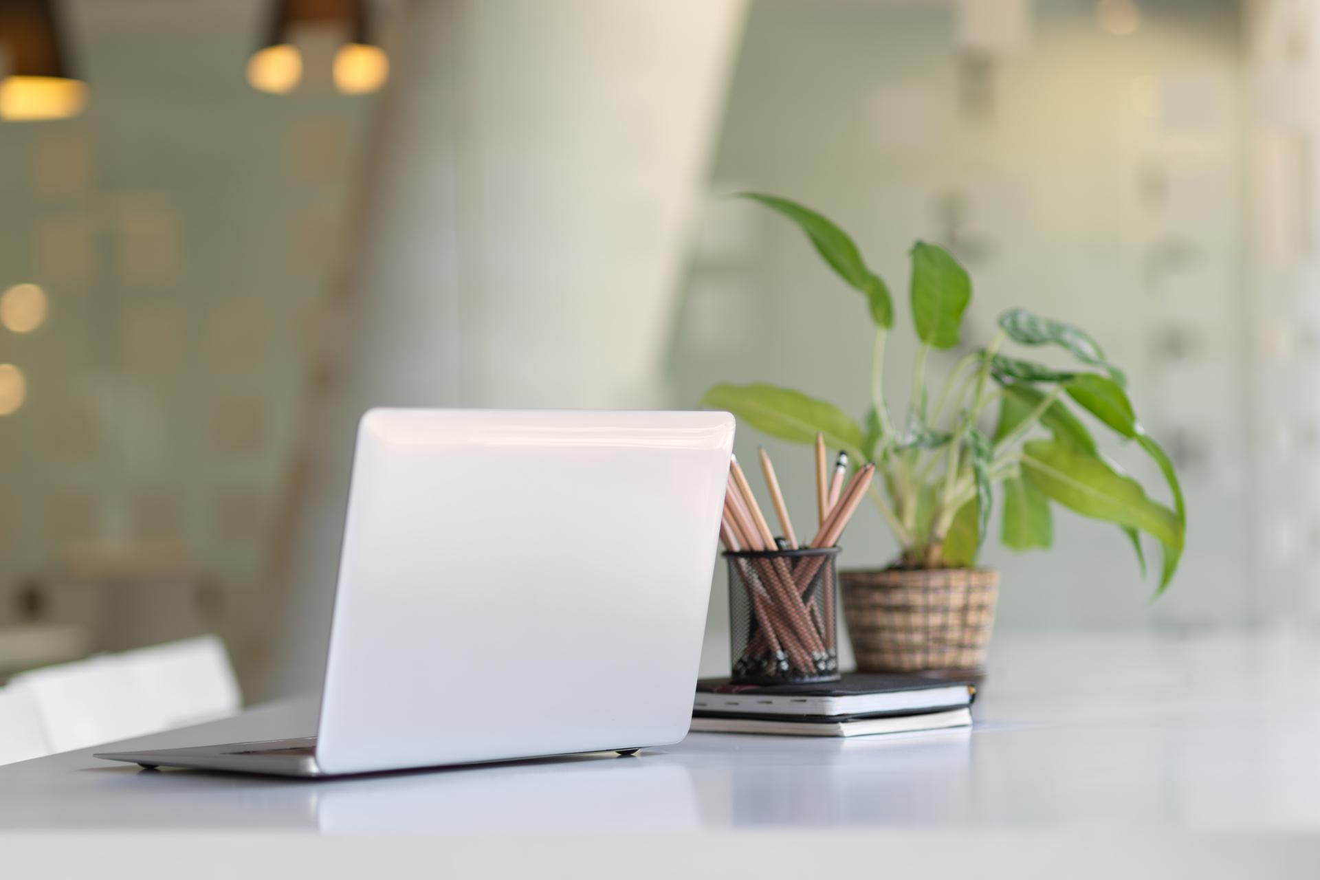 Laptop auf einem weißen Schreibtisch neben einem Topf mit grünen Pflanze und einem Behälter mit Stiften.